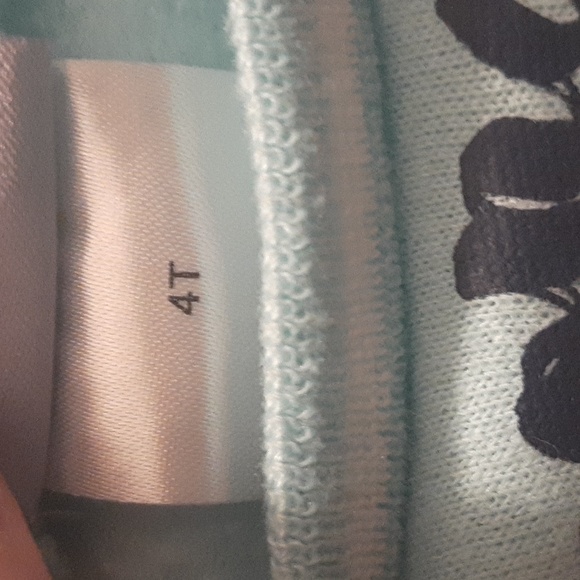 Disney Frozen 2 'Stronger Together' Pullover Sweatshirt Fleece Sleeves Size 4T - Picture 9 of 10